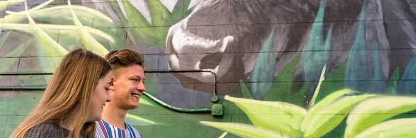 View of Moree Mural Trail