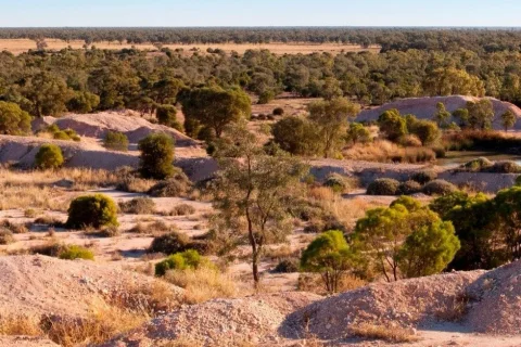 Lightning Ridge Bus Tour