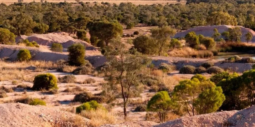 Lightning Ridge Bus Tour