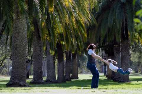 Jellicoe Park