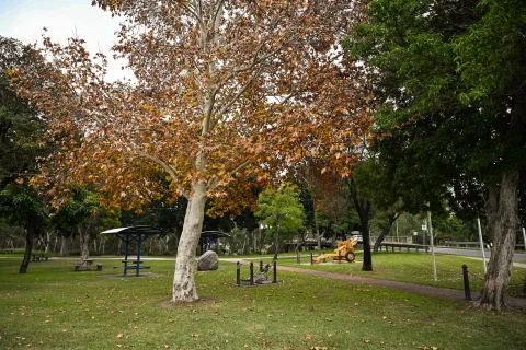Lyle Houlahan Park