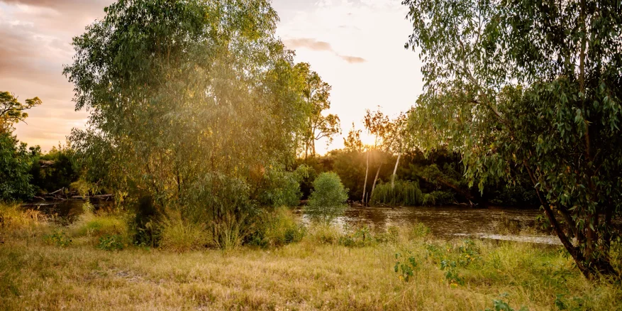 Gum Flat Nature Reserve