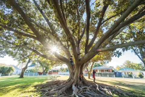 Mary Brand Park