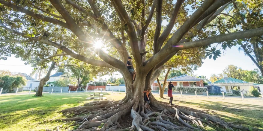 Mary Brand Park