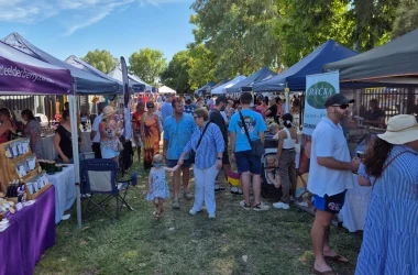 Pally Bush Markets