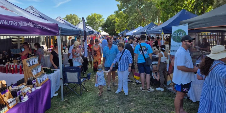 Pally Bush Markets