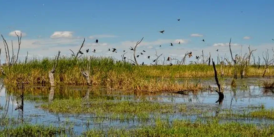 Gwydir Wetlands