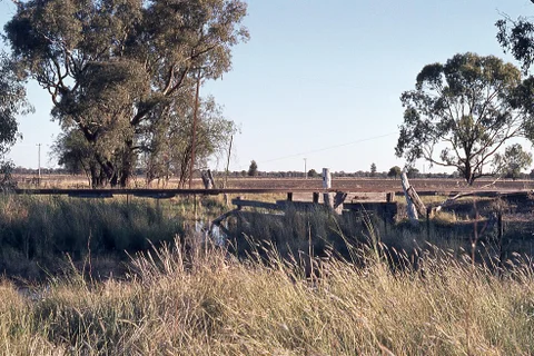 View of Weemelah